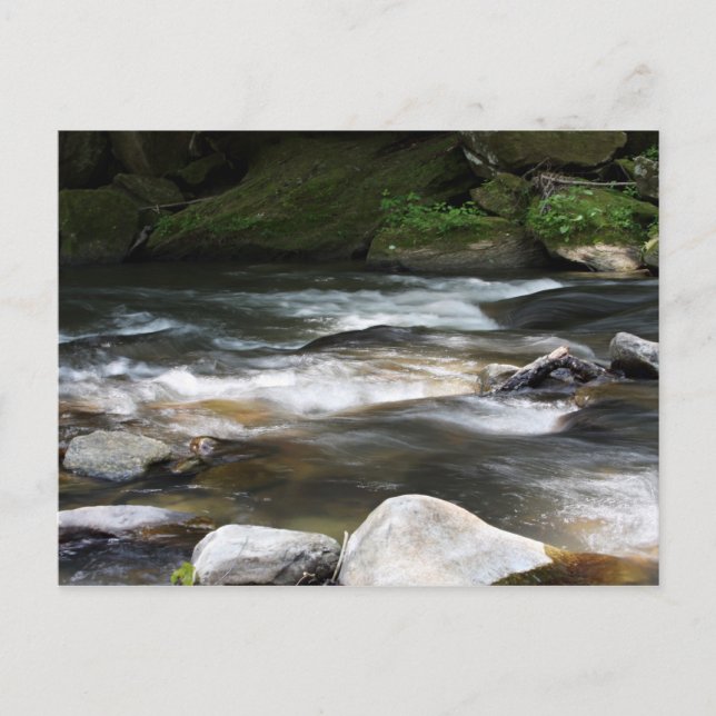 North Carolina River Vykort (Framsida)