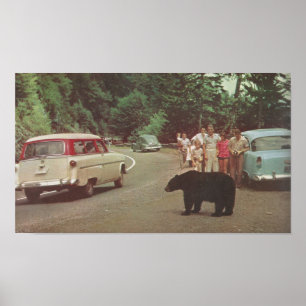 North Carolina Smoky Mountains Poster