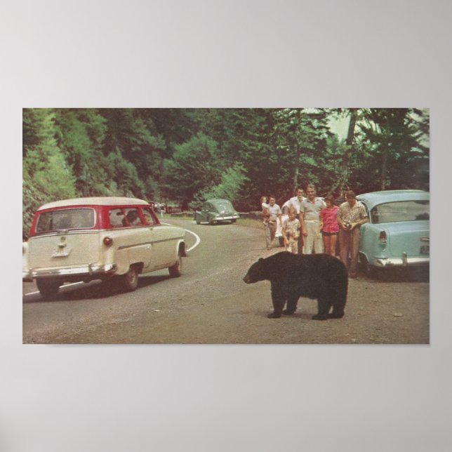 North Carolina Smoky Mountains Poster (Framsidan)