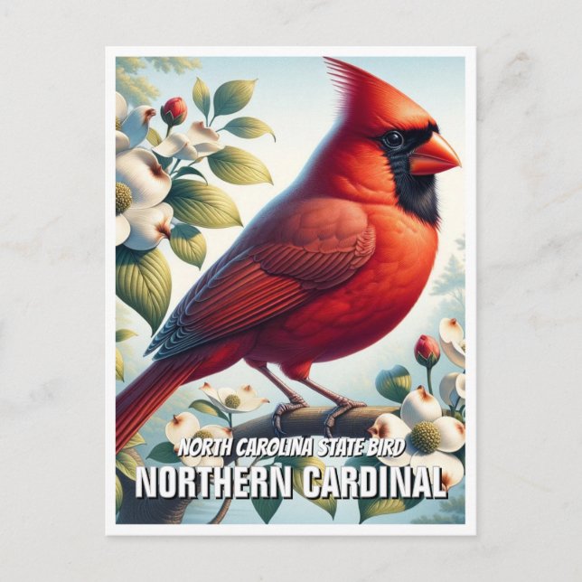 North Carolina State Bird Northern Kardinal Vykort (Framsida)