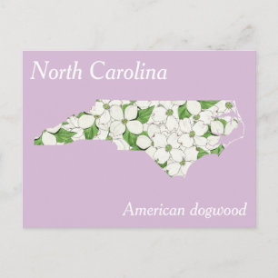 North Carolina State Flower Collage Karta Vykort