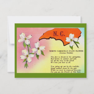 North Carolina State Flower Postkort Vykort