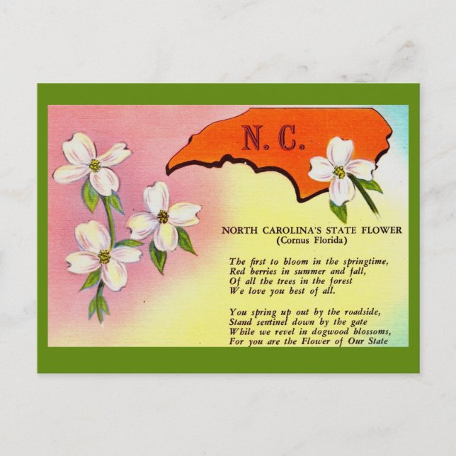 North Carolina State Flower Postkort Vykort (Framsida)