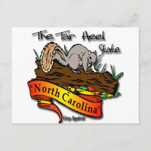 North Carolina tar Heel State Grått Squirrel Vykort