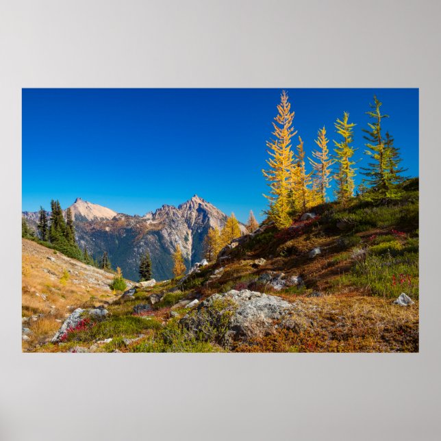 North Cascades Autumn Färg Poster (Framsidan)