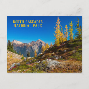 North Cascades Autumn Färg Vykort