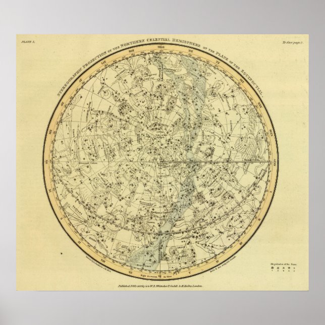North Celestial Hemisphere Poster (Framsidan)