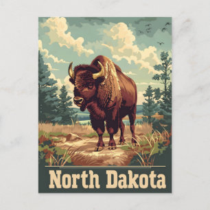 North Dakota Bison Vintage Vykort