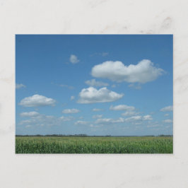 North Dakota majfält Vykort