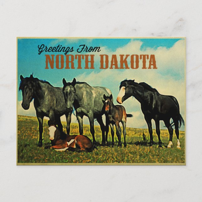 North Dakota Nokota Horses Vykort (Framsida)