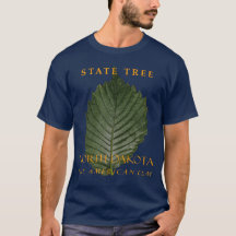 North Dakota Territory Träd Den Amerikanska Almen