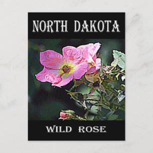 North Dakota Vild Ro Vykort