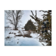 North Dakota Vintersnöstorm
