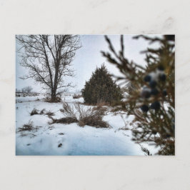 North Dakota Vintersnöstorm Vykort