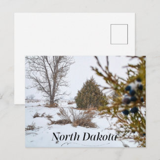 North Dakota Vintersnöstorm Vykort