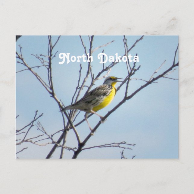 North Dakota Vykort (Framsida)