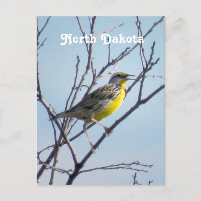 North Dakota Vykort (Framsida)