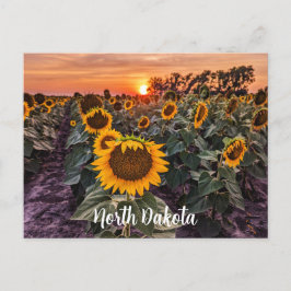 North Dakota-vykort Vykort