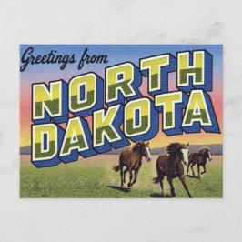North Dakota Wild Horses Prairie Vykort