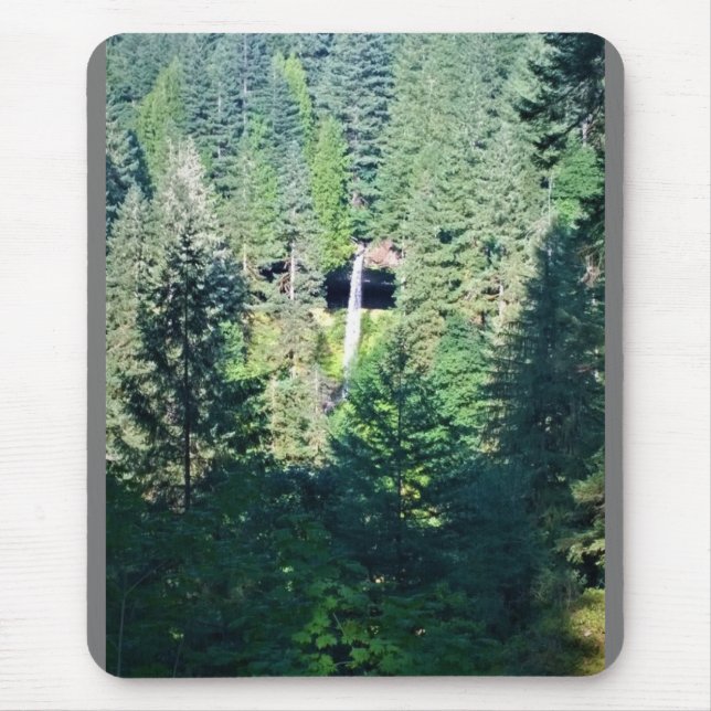 North Falls, ELLER Musmatta (Framsidan)