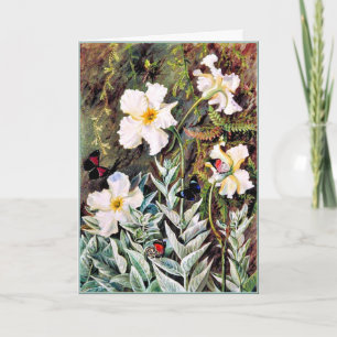 North - Flanelblomman av Casa Branca, Butterflies Kort