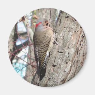 North Flicker Magnet. Magnet