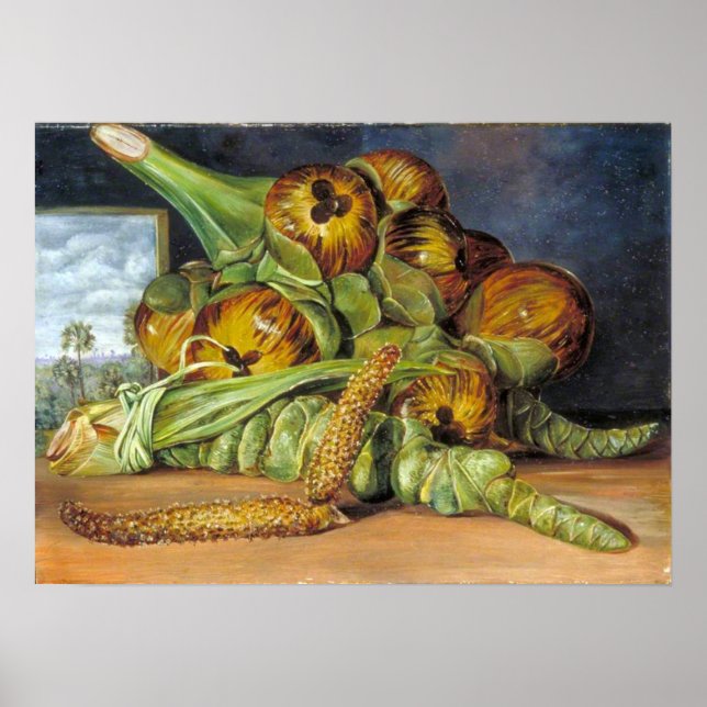 North - Flowers, Fruit, Palmyra Handflatan, Java 1 Poster (Framsidan)