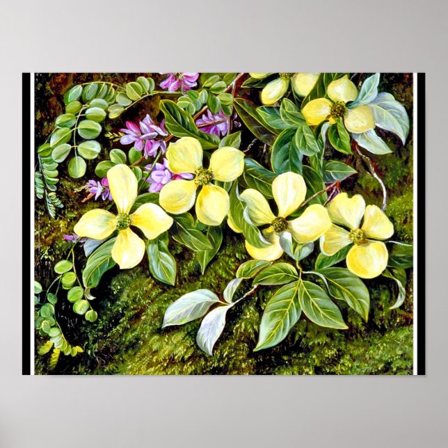 North - Flowers of a Dogwood and an Indigo, blommi Poster (Framsidan)