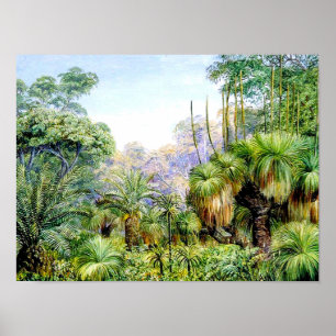 North - Forest Scene i Väster Australia Poster