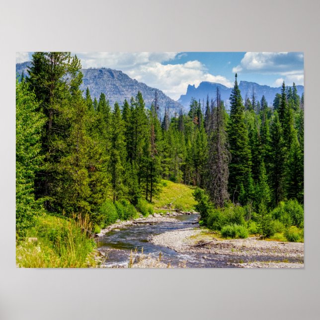 North Fork Shoshone River Poster (Framsidan)
