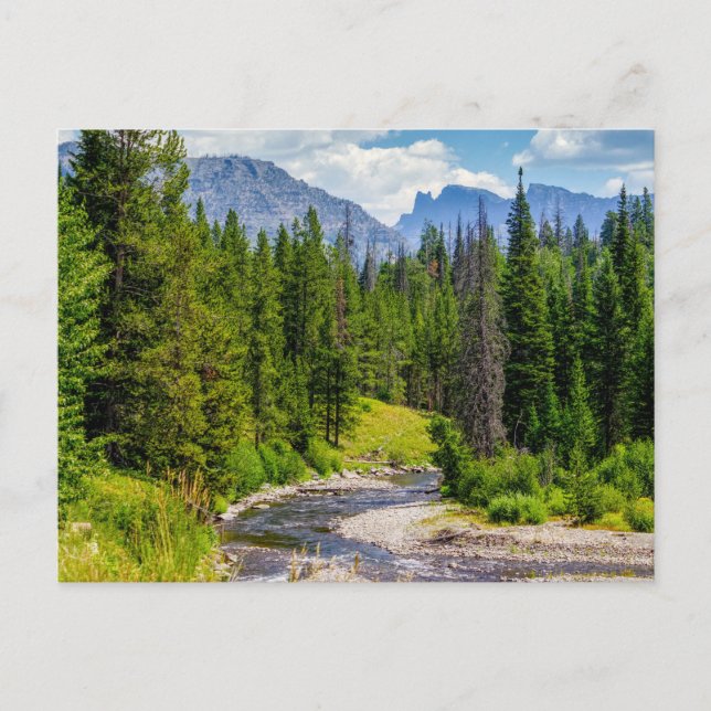 North Fork Shoshone River Tom Postkort Vykort (Framsida)