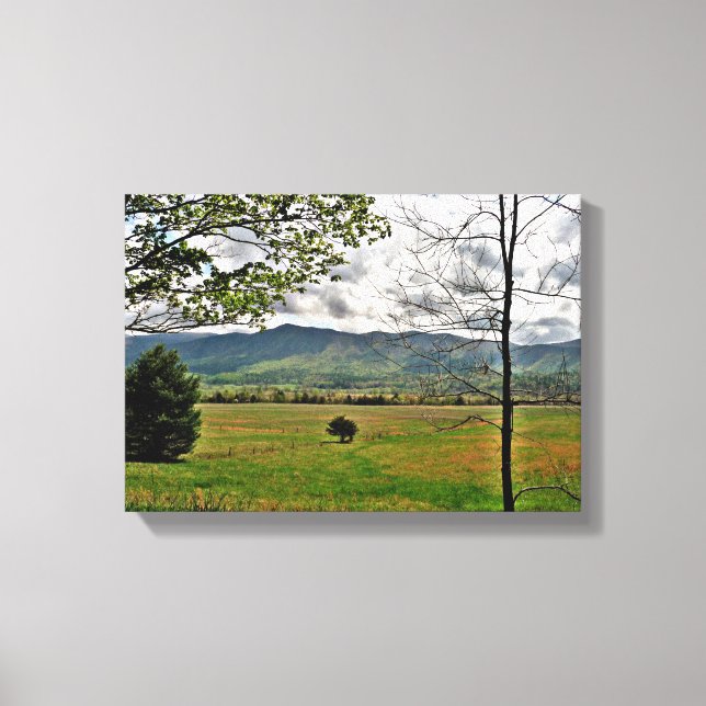 North Georgia Mountains Scene Canvas (Framsida)