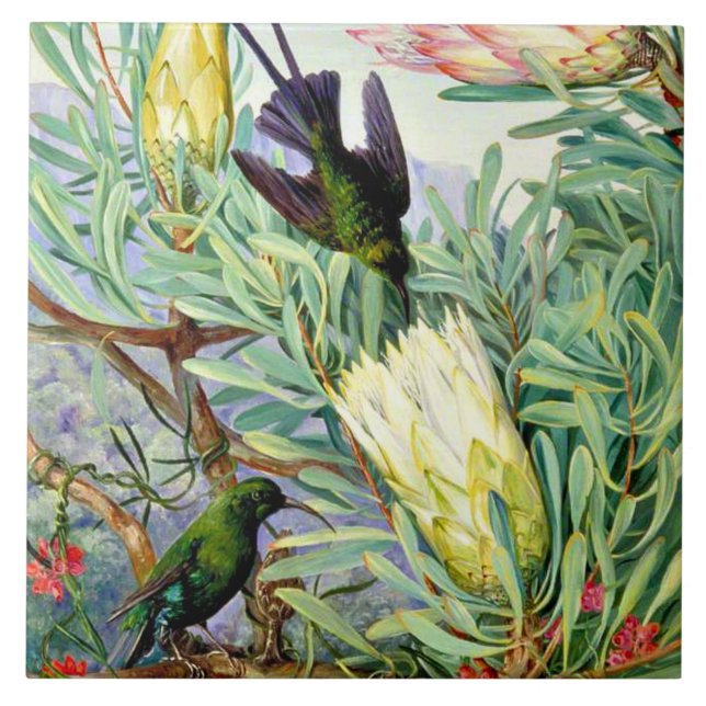 North - Honeyblommor och honeysuckers  Kakelplatta (Framsidan)