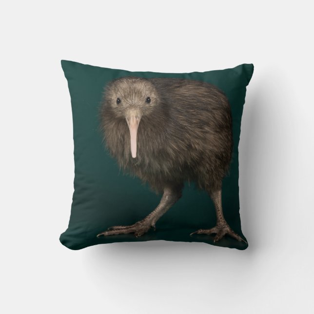 North Island Brown Kiwi Kudde (Framsida)