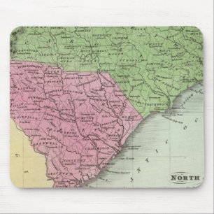 North och South Carolina 2 Musmatta
