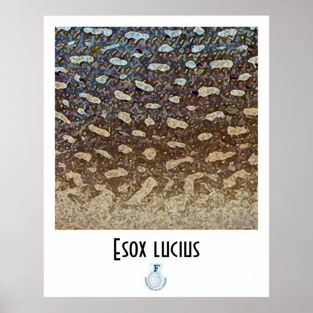 North Pike FFF Poster (Framsidan)