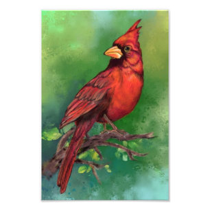 North Red Cardinal Bird Photo Print Fototryck