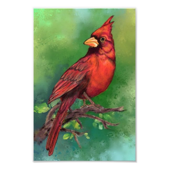 North Red Cardinal Bird Photo Print Fototryck (Framsidan)