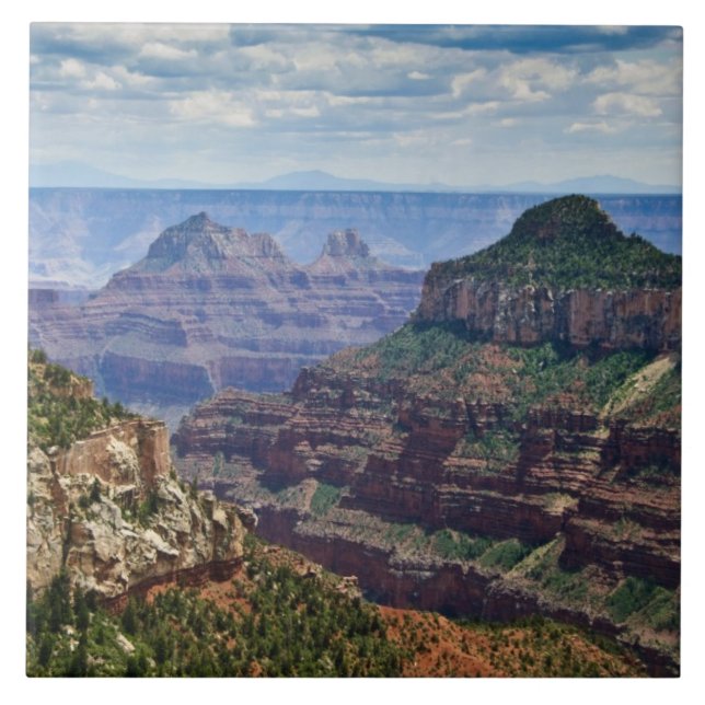 North Rim Gran Canyon - Grand Canyon National Kakelplatta (Framsidan)