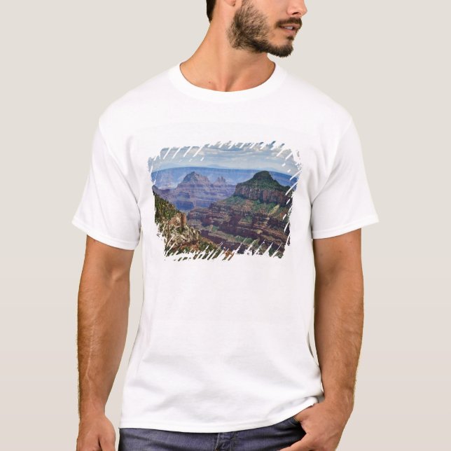 North Rim Gran Canyon - Grand Canyon National T Shirt (Framsida)
