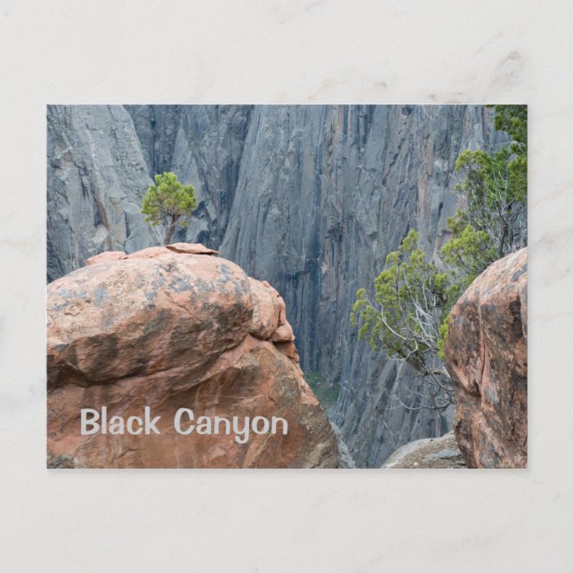 North Rim of the Black Canyon Vykort (Framsida)