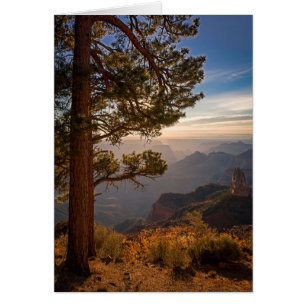 North Rim Sunrise Hälsningskort