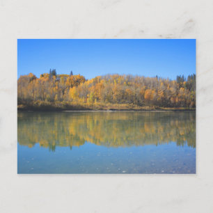 North Saskatchewan River - Hösten Vykort