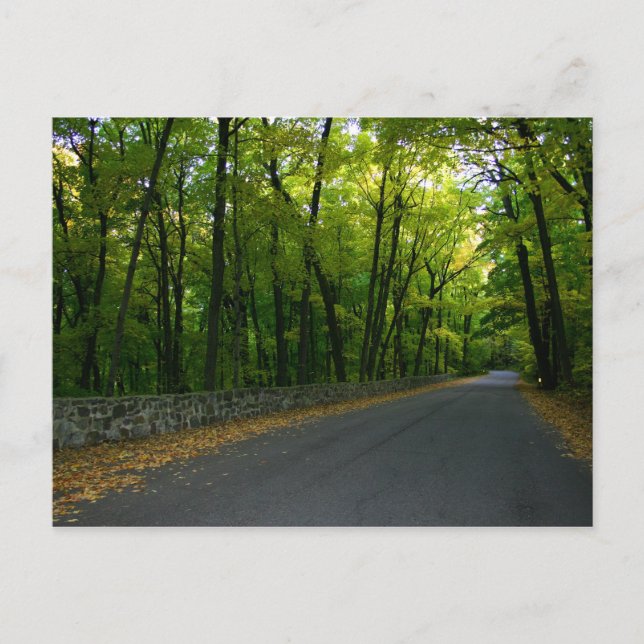 North Shore Drive Vykort (Framsida)