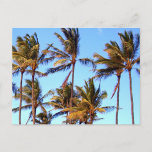 North Shore Handflatan Vykort