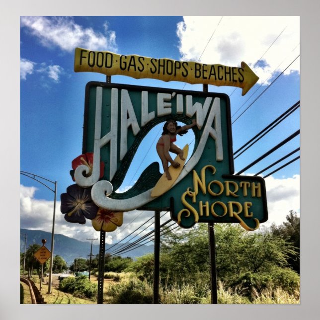 North Shore Oahu Hawaii Poster (Framsidan)