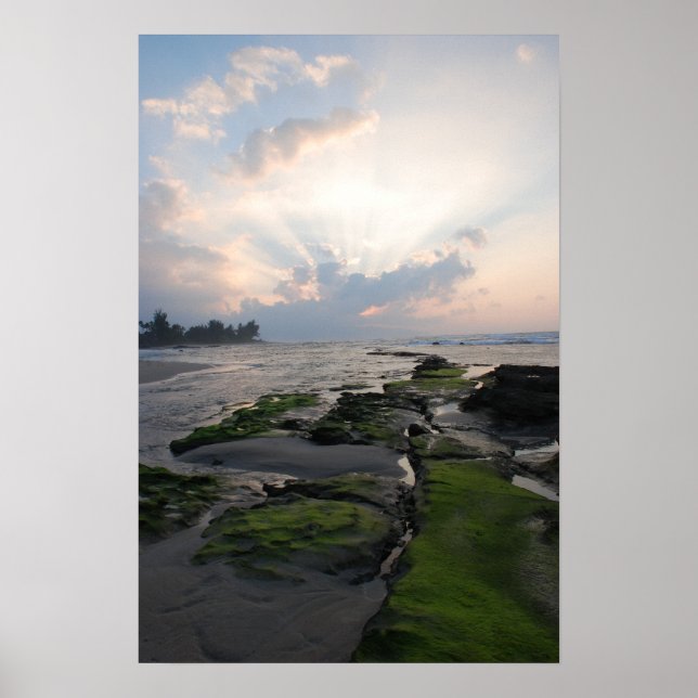 North Shore Sunset Poster (Framsidan)