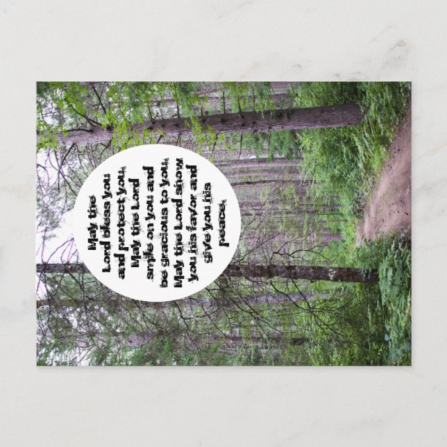 North Skogen Bluting Vykort (Framsida)