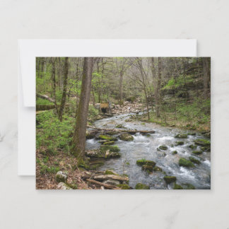 North Sylamore Bäck Vykort