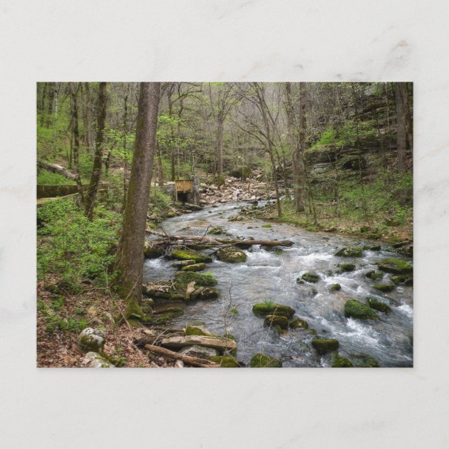 North Sylamore Bäck Vykort (Framsida)